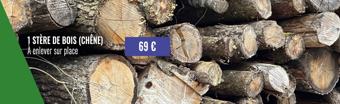 STERE DE BOIS (CHÊNE)